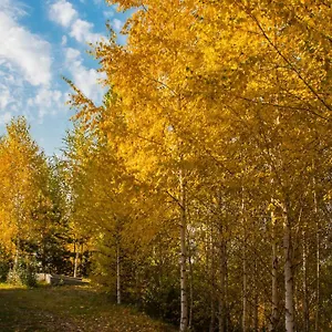 Alpen Отель